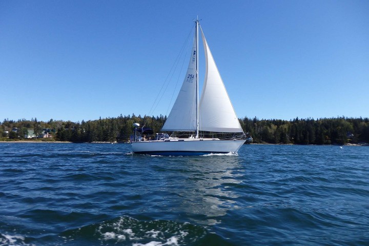 Sail Charter Acadia