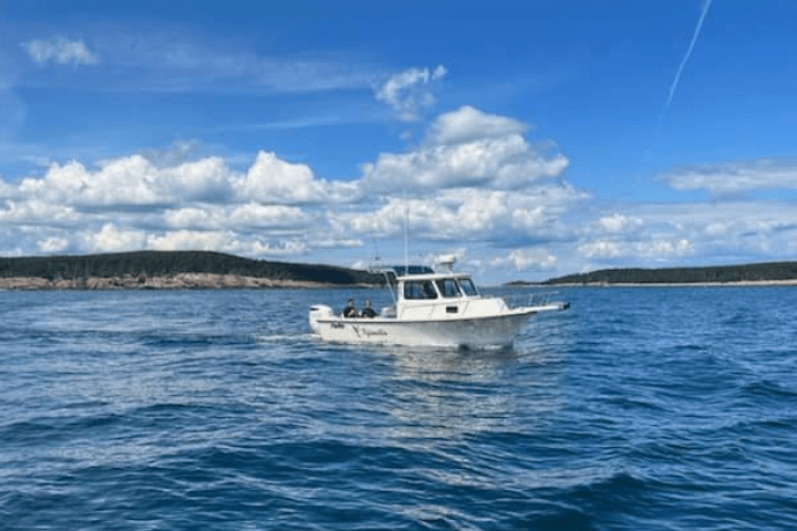 a small boat charter coast of Maine