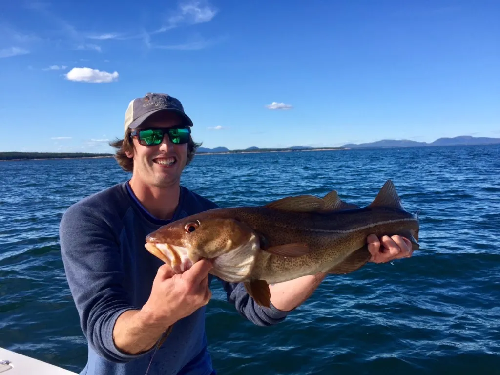 Cod Fish Captain Sarge holding a fish in the water