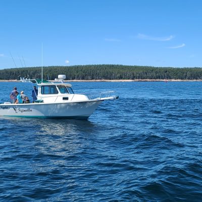 private charter in Maine