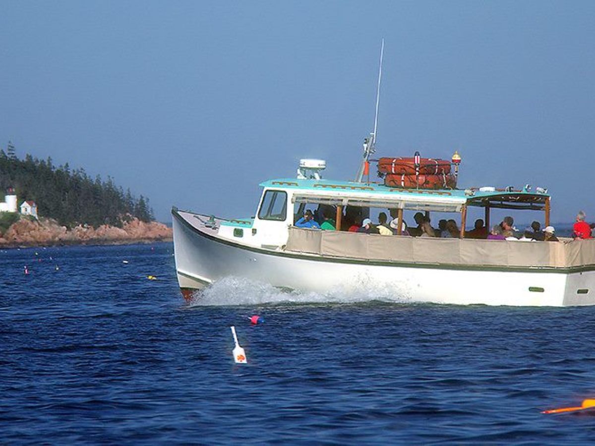 Nature Cruise in Maine