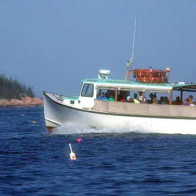 Nature Cruise in Maine