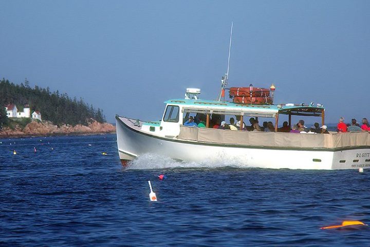 Nature Cruise in Maine