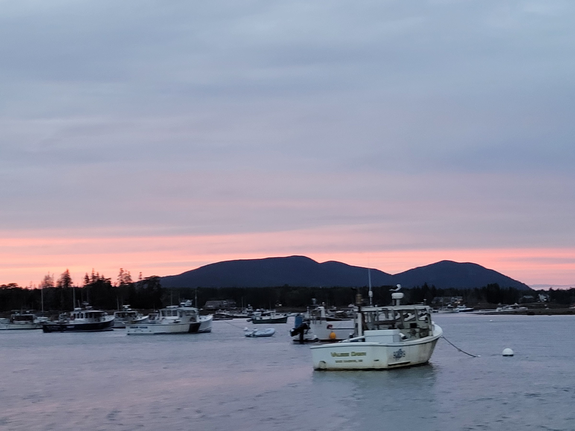 sunset in the harbor