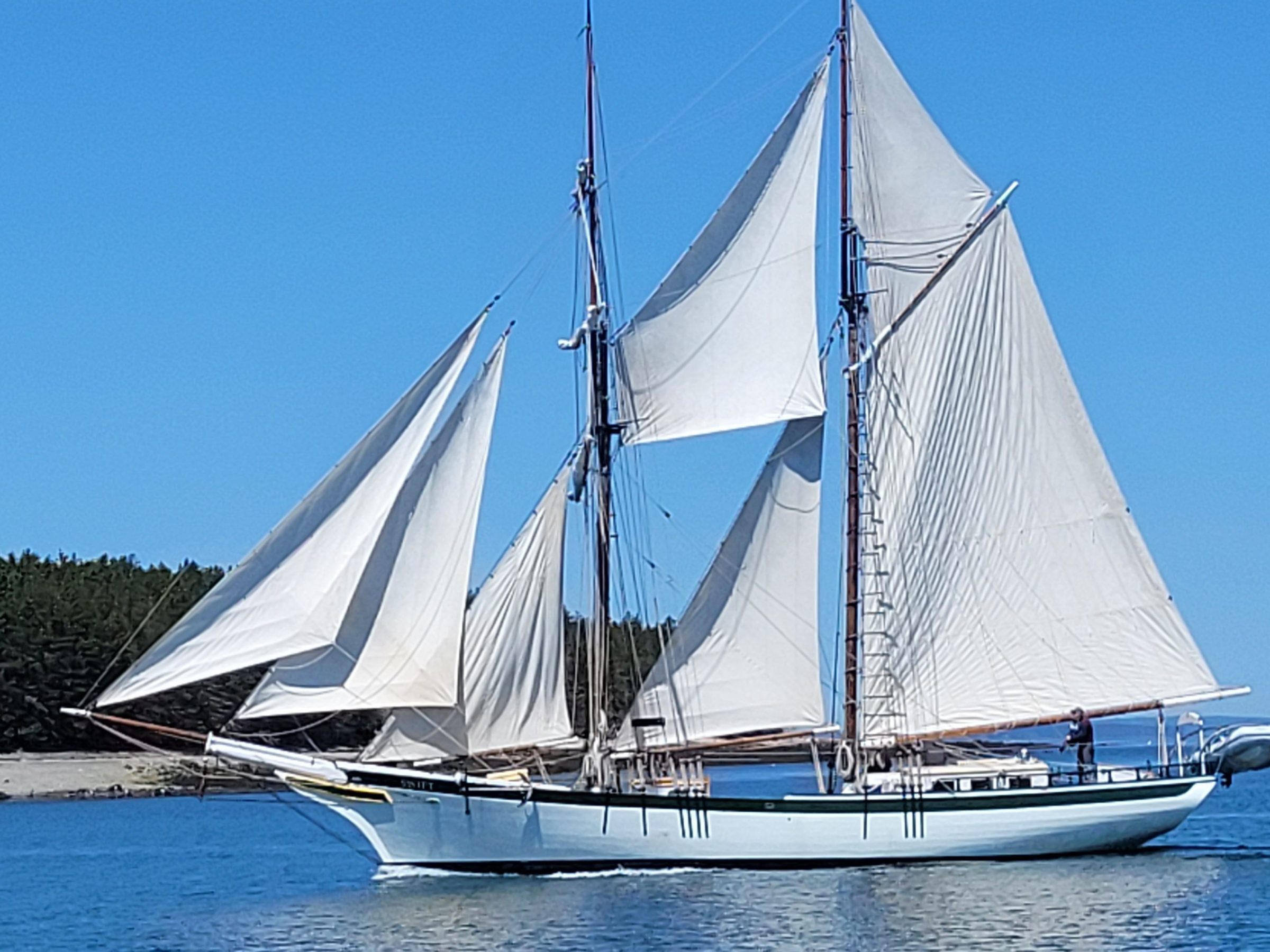 a blue and white boat sitting next to a body of water