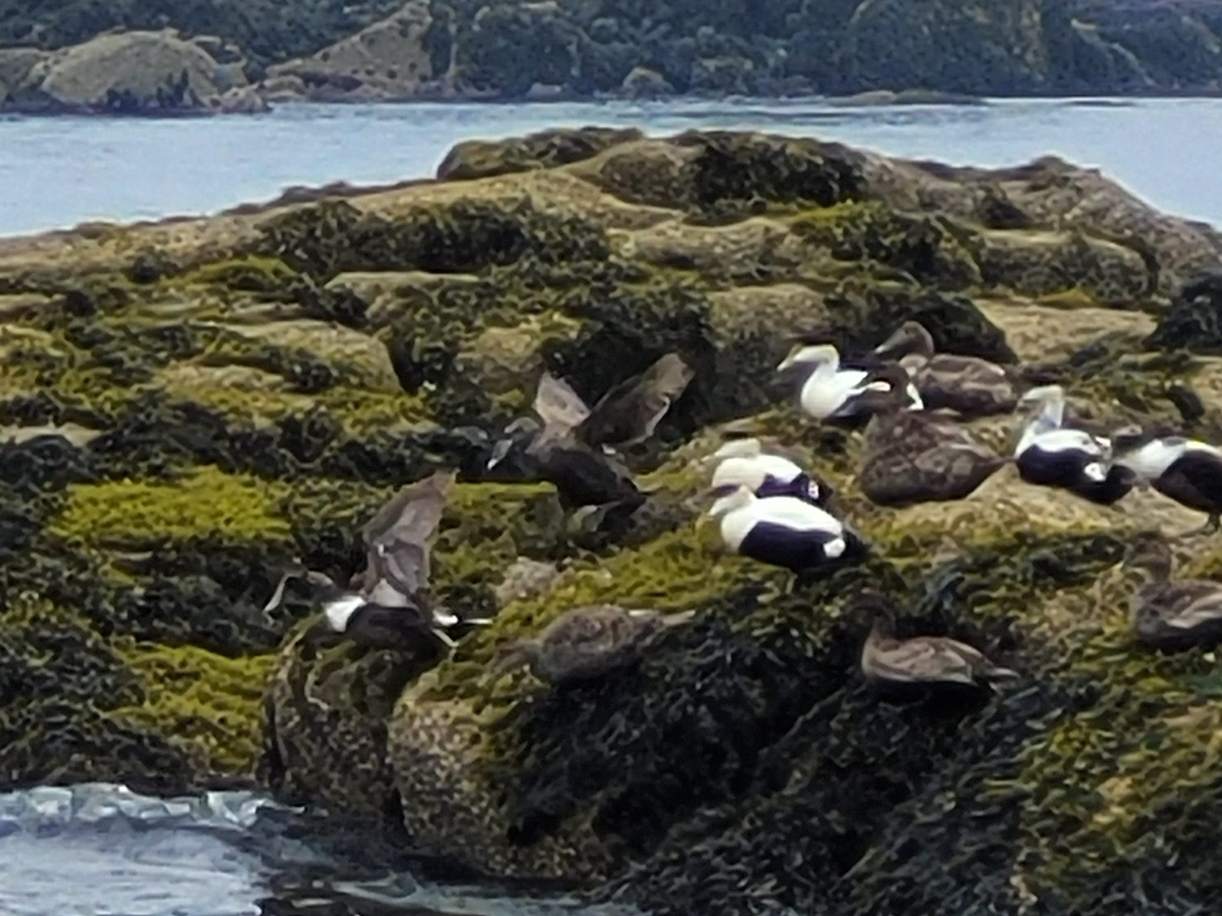 an island in the middle of a body of water