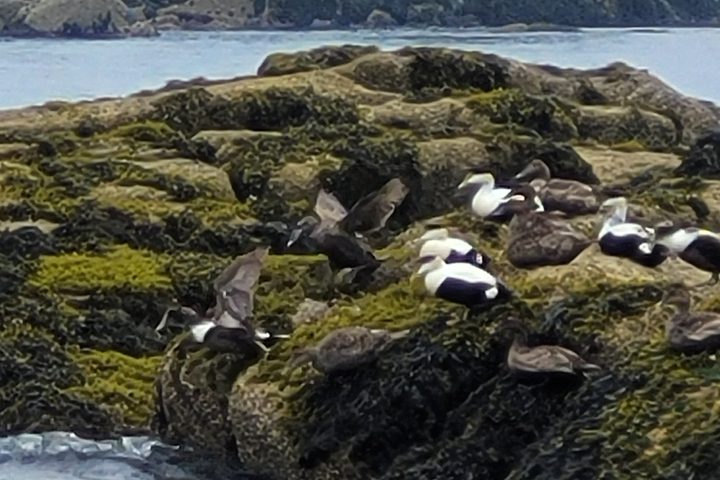an island in the middle of a body of water