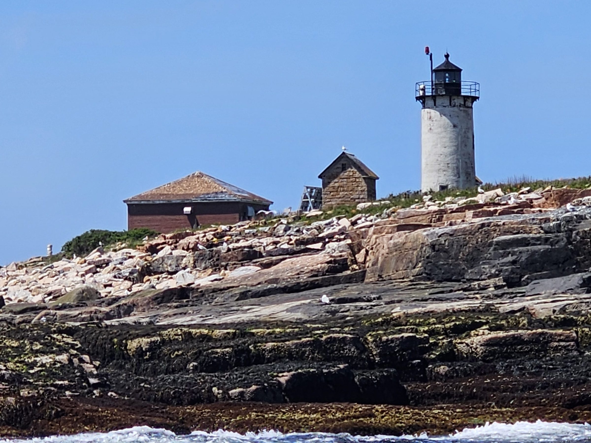 Lighthouse on rocky shore with small buildings, blue sky, and ocean waves.