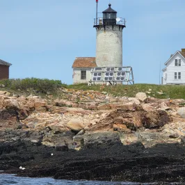 Lighthouse on rocky shore with seagulls and blue sky.
