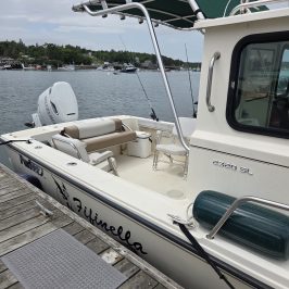 Boat docked beside a wooden pier with a green canopy and visible motor.